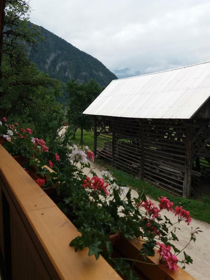Apartma Momo Бохин Екстериор снимка